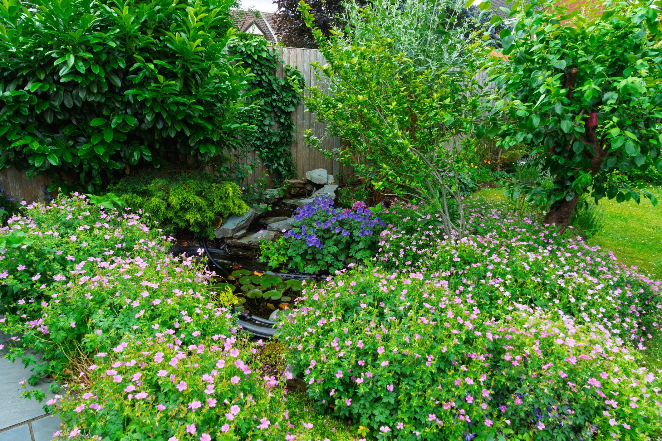 Well-maintained landscaped garden with mature planting